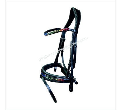 Leather Bridle 